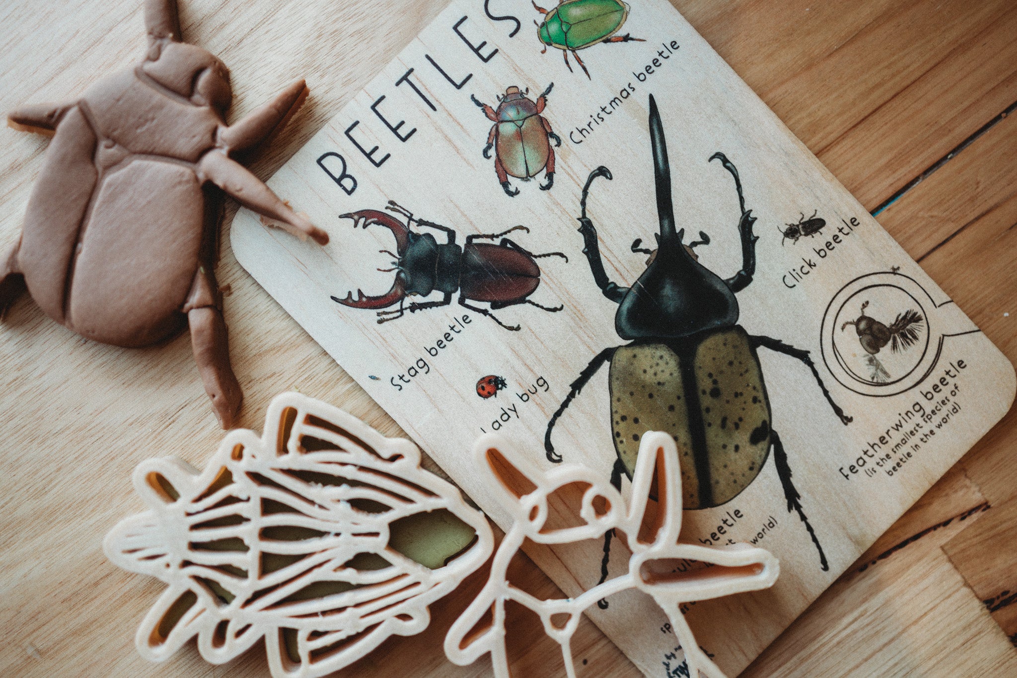 Beetles