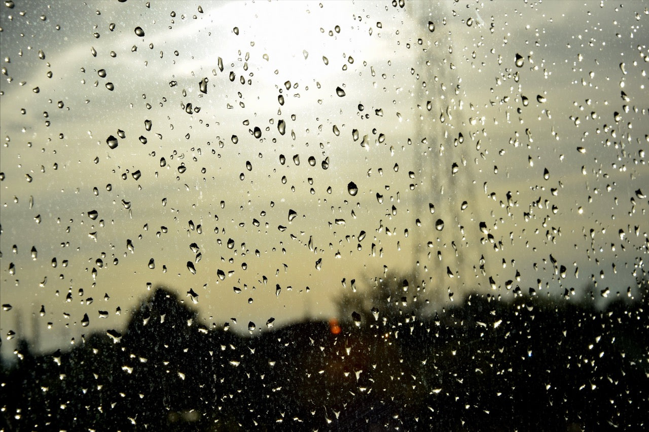 Rainy day