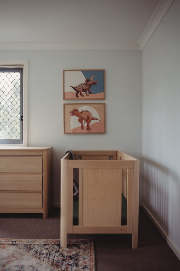 Walk The Dinosaur - Triceratops - Digital Download - Timber Kids