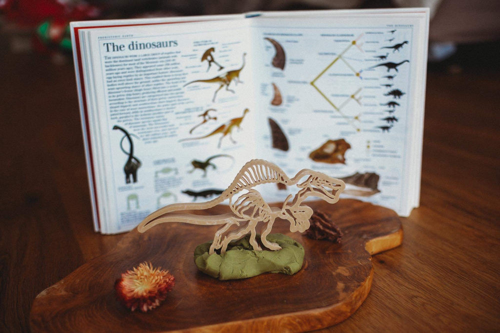 Spinosaurus Dino Eco Cutter™ - Timber Kids