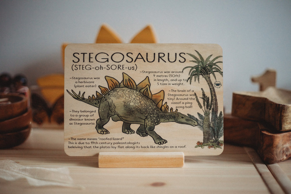 Stegosaurus Jumbo Dino Fact Tile - | Timber Kids - Timber Kids