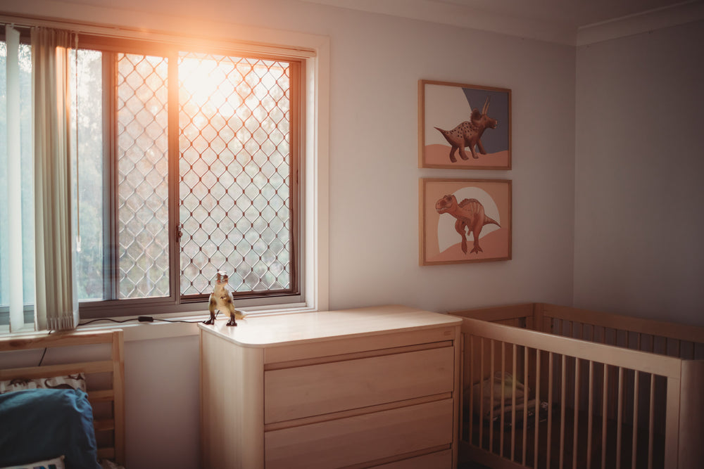 Walk The Dinosaur - T-Rex - Digital Download - Timber Kids