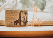 Eco-Friendly Toys: The Perfect Presents