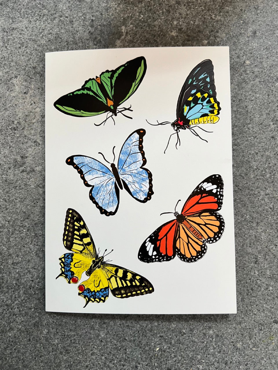 Hand-Illustrated 7 x 5-inch Butterfly Greeting Card