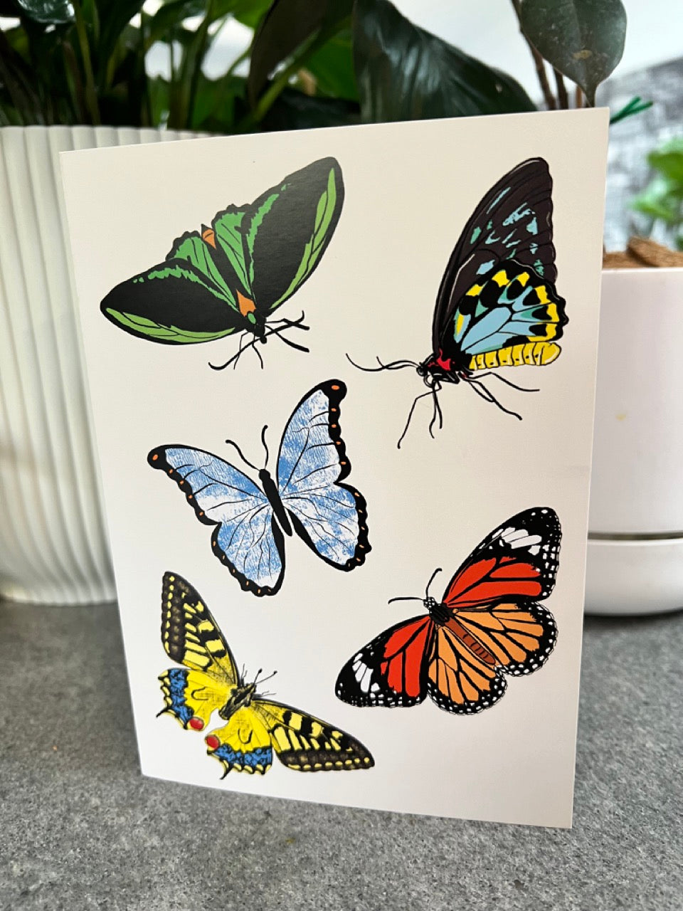 Hand-Illustrated 7 x 5-inch Butterfly Greeting Card