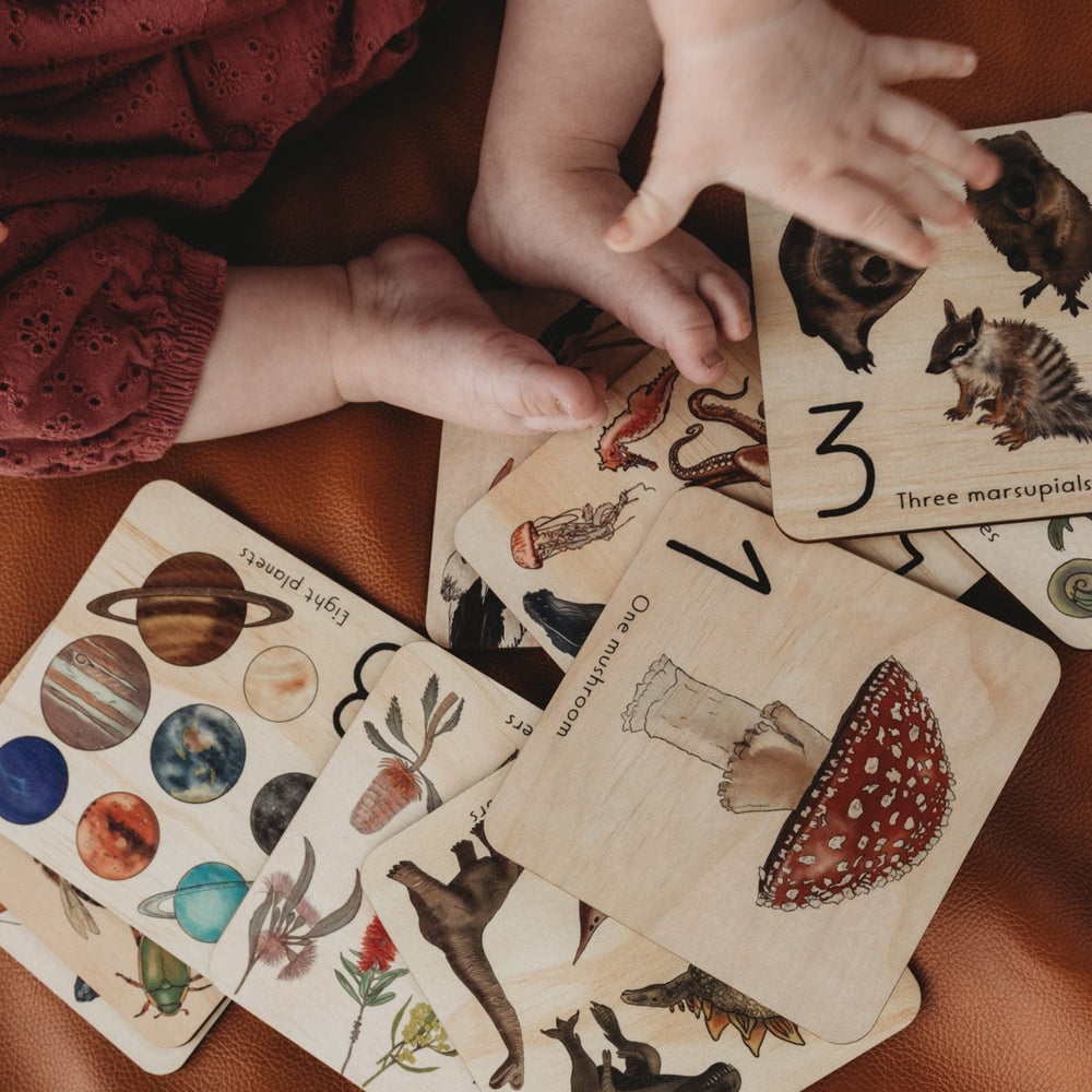 Wooden Numbers Learning Set