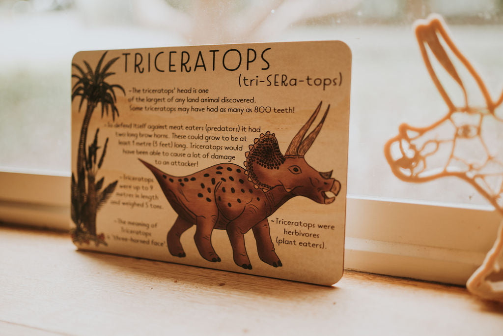 TRICERATOPS Jumbo Dino Fact Tile - | Timber Kids - Timber Kids 
