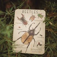 Beetles Timber Tile - | Timber Kids - Timber Kids 