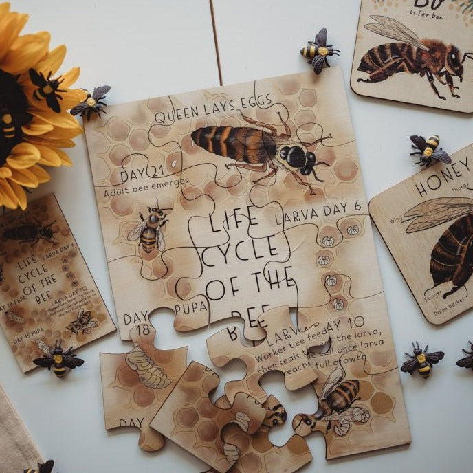 Honey Bee Life Cycle Timber Puzzle