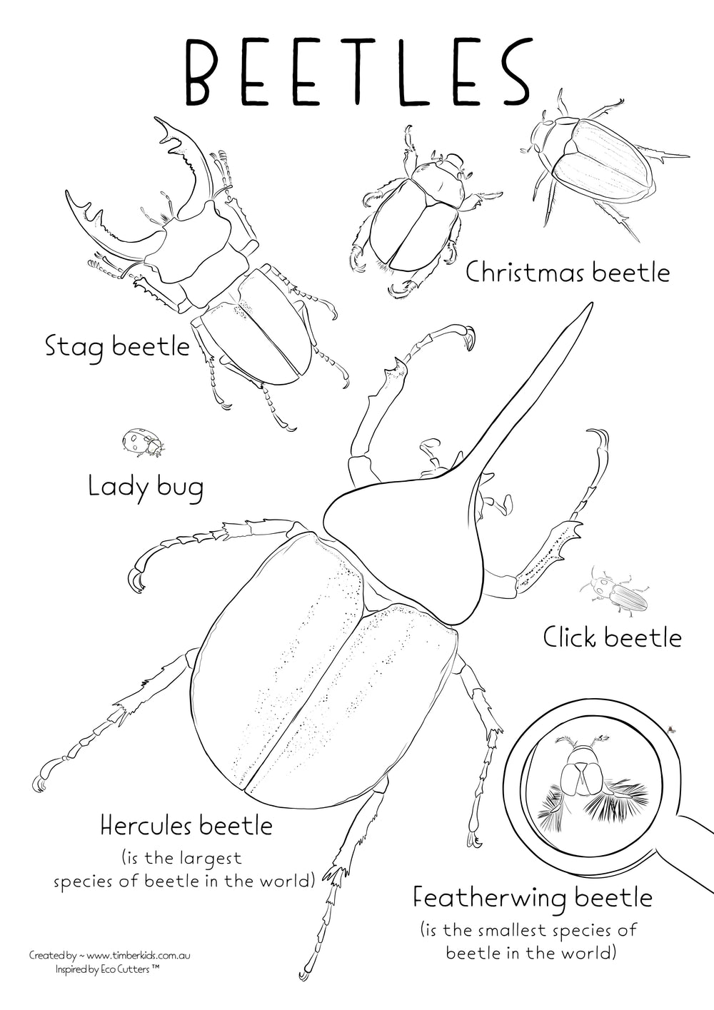 Free Colouring Sheets – Timber Kids