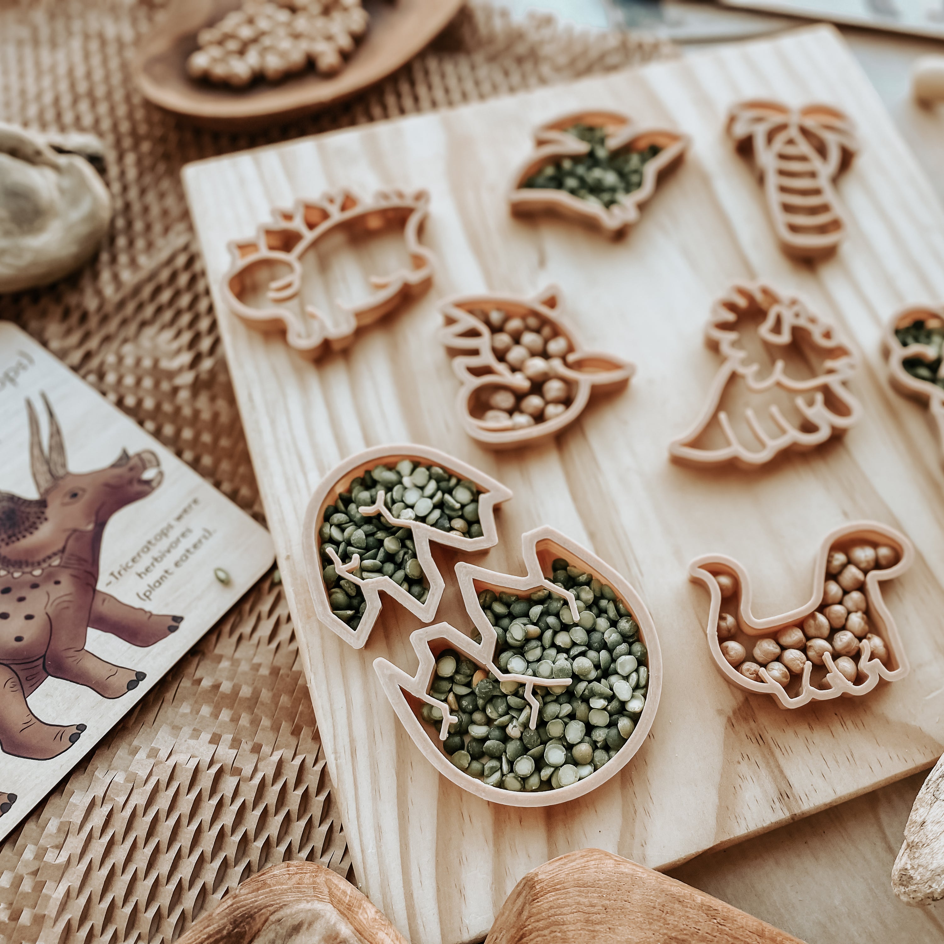 Baby Dinosaur ECO CUTTER ™ - | Timber Kids - Timber Kids 