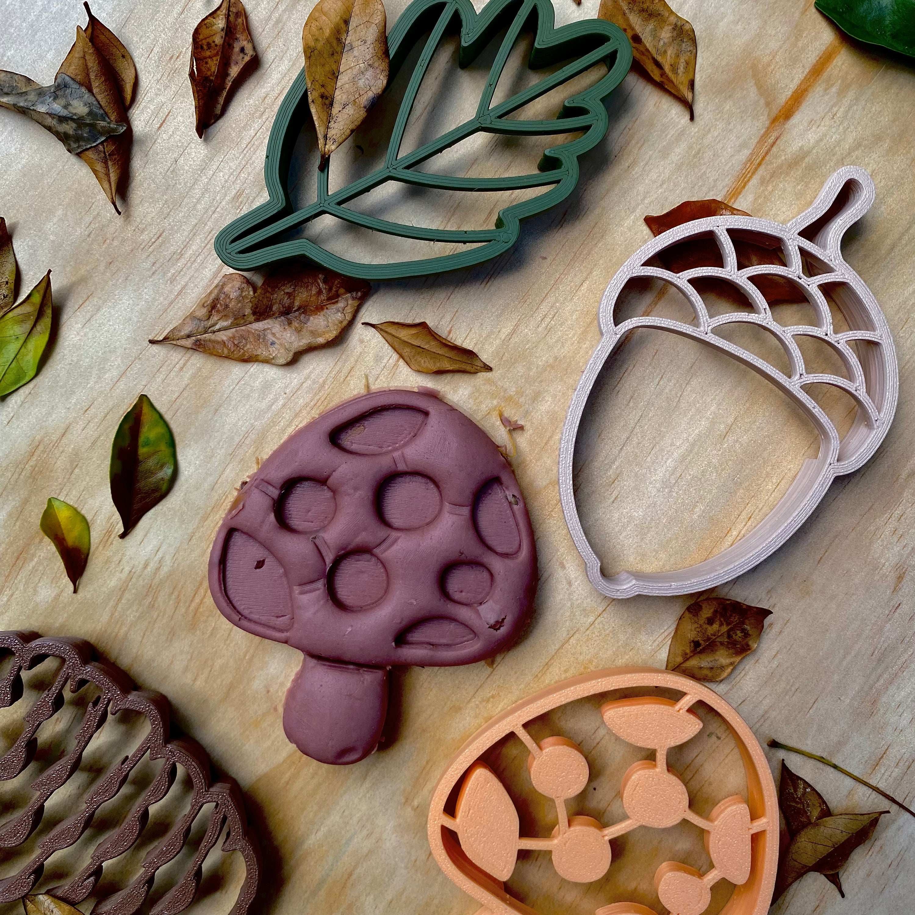 Autumn Bio Cutter Bundle - | Beadie Bug Play - Timber Kids 
