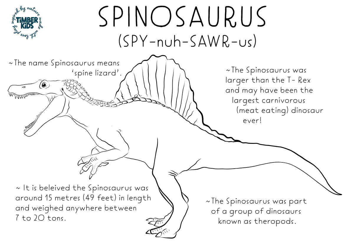 Spinosaurus Fact colour In | Timber Kids – Timber Kids