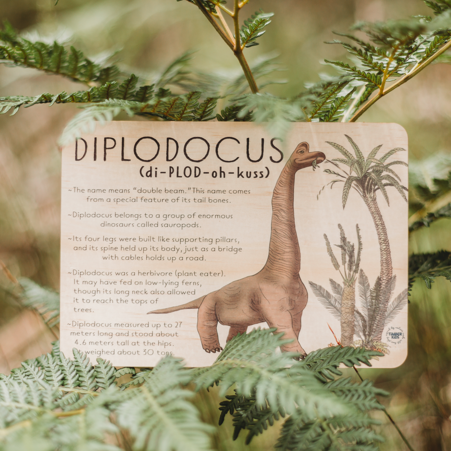DIPLODOCUS Jumbo Dino Fun Fact Tile - | Timber Kids - Timber Kids 