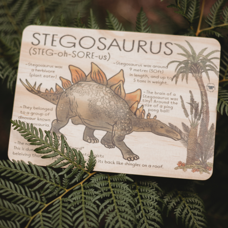 Estella - Organic Rattle - Stegosuarus Dinosaur – treehaus