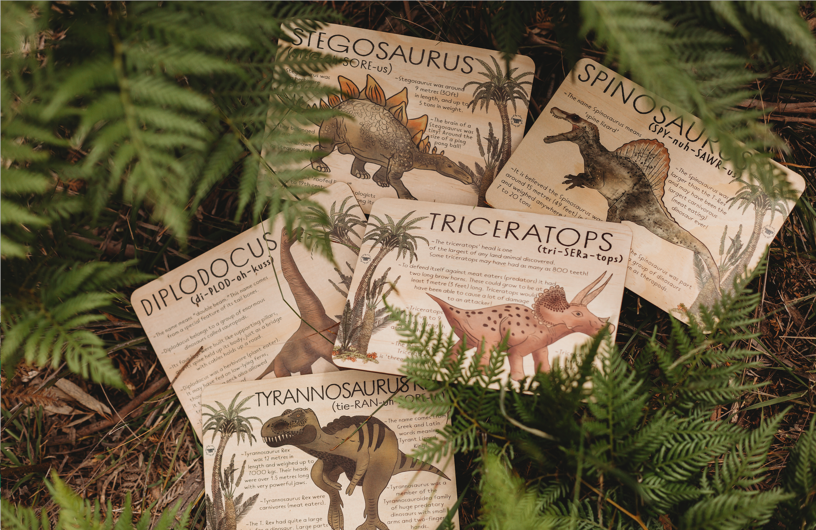 Stegosaurus Jumbo Dino Fact Tile -  | Timber Kids - Timber Kids 