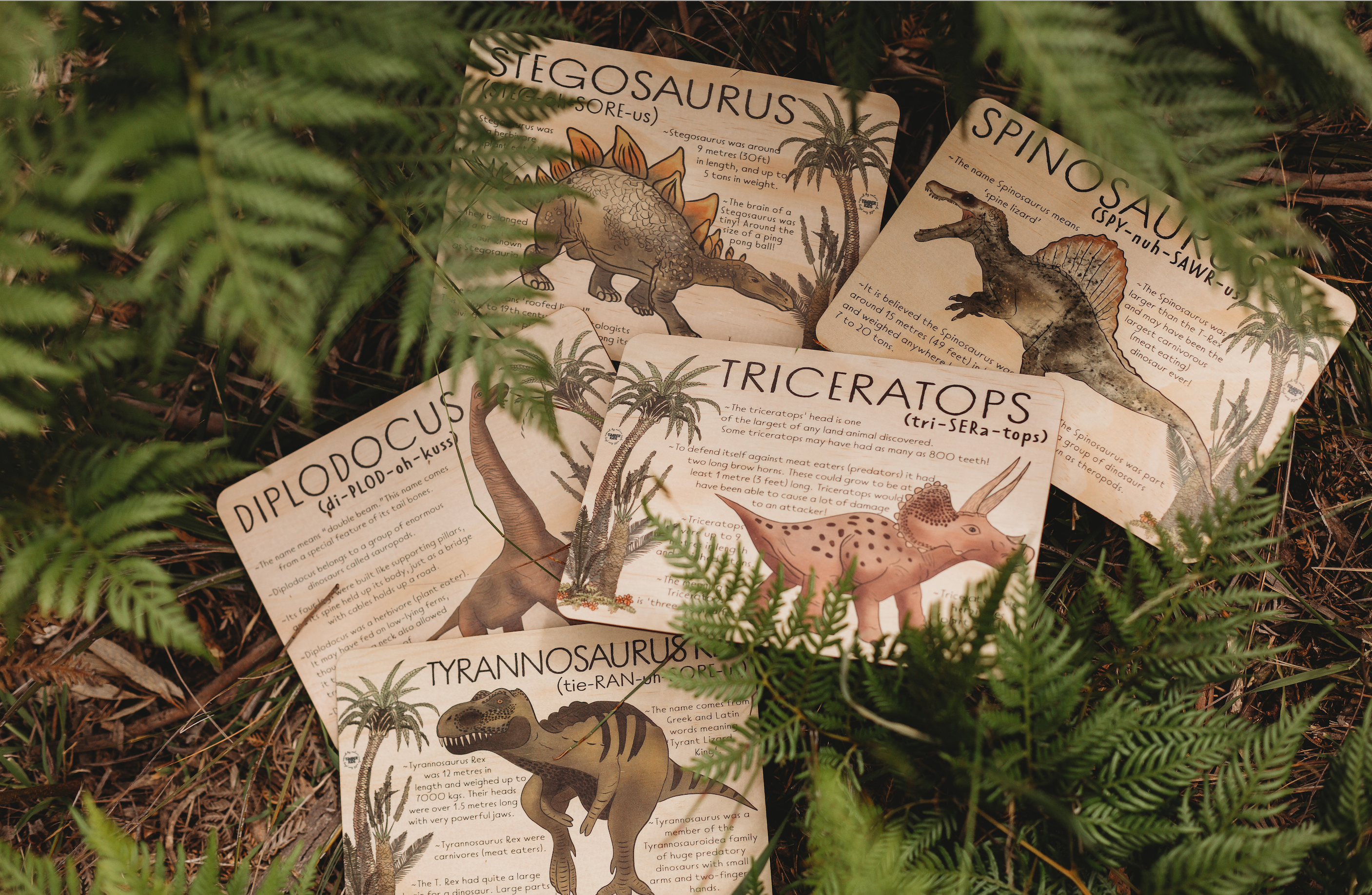 Jumbo Dino Fun Fact Tile Bundle | Timber Kids – Timber Kids