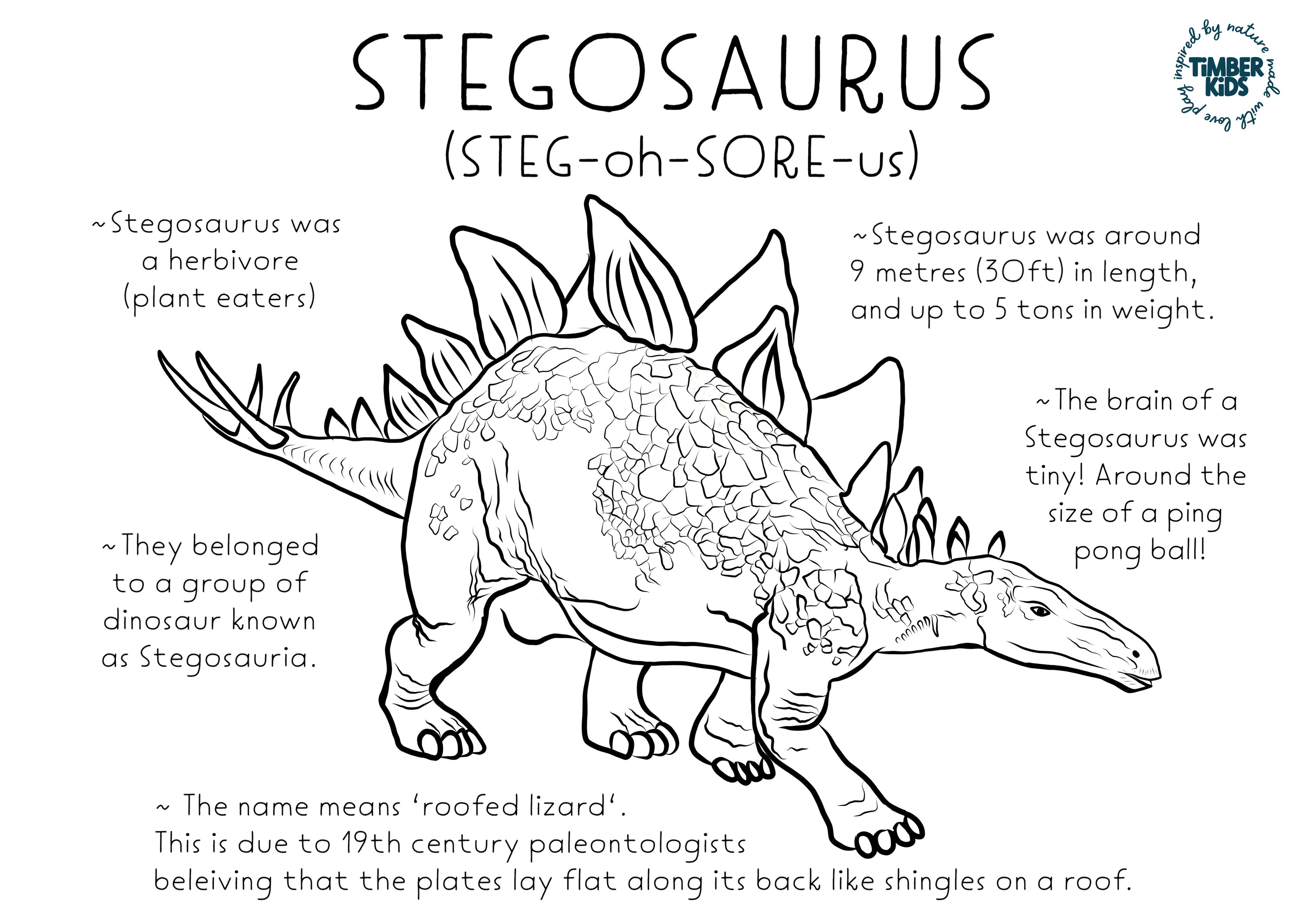 Stegosaurus Fact Colour In - Timber Kids 