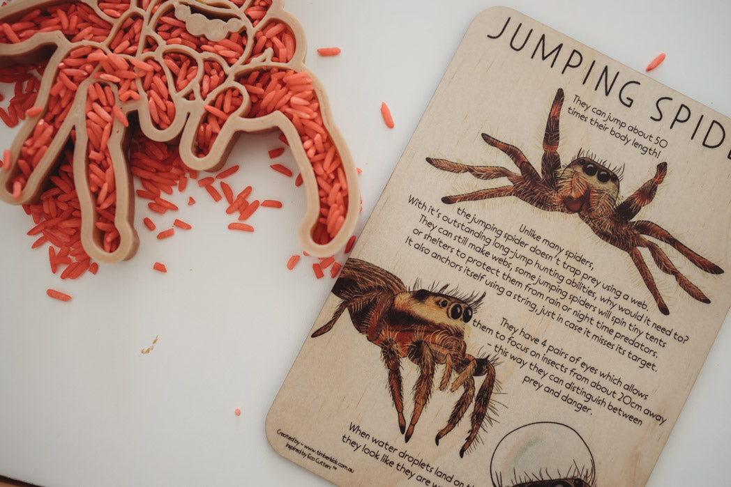 Jumping Spider Timber Tile - | Timber Kids - Timber Kids 