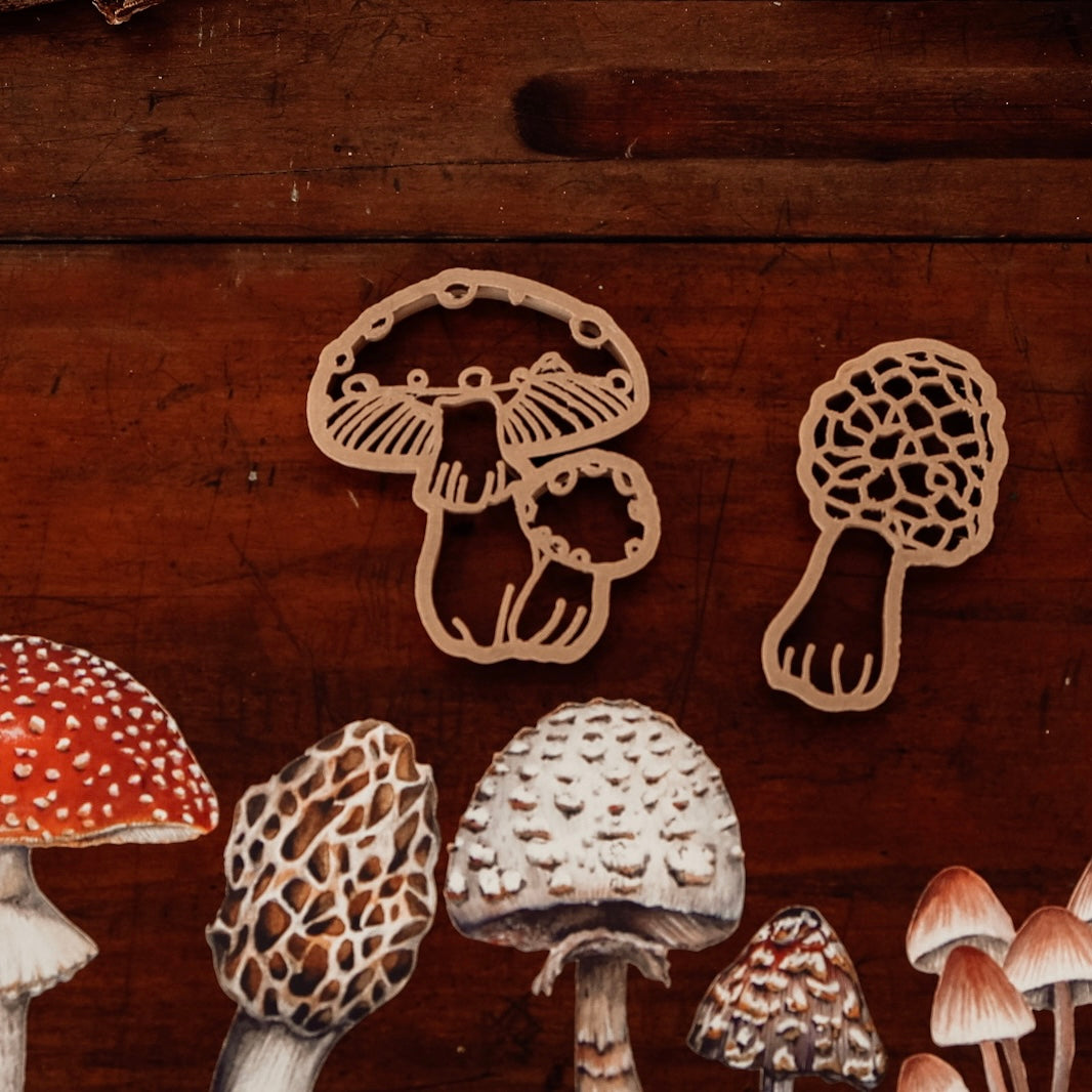 ECO CUTTER™ Fly Agaric Mushroom - | Kinfolk Pantry - Timber Kids 