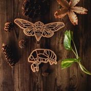 ECO CUTTER ™ Cicada (Set of 2) - Timber Kids 