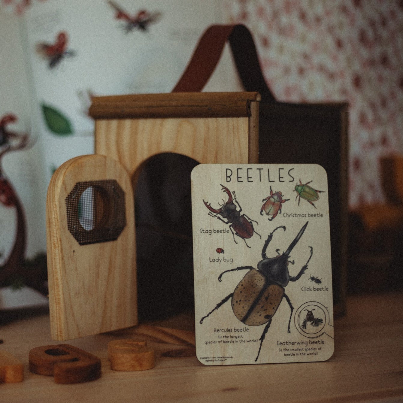 Beetles Timber Tile - | Timber Kids - Timber Kids 