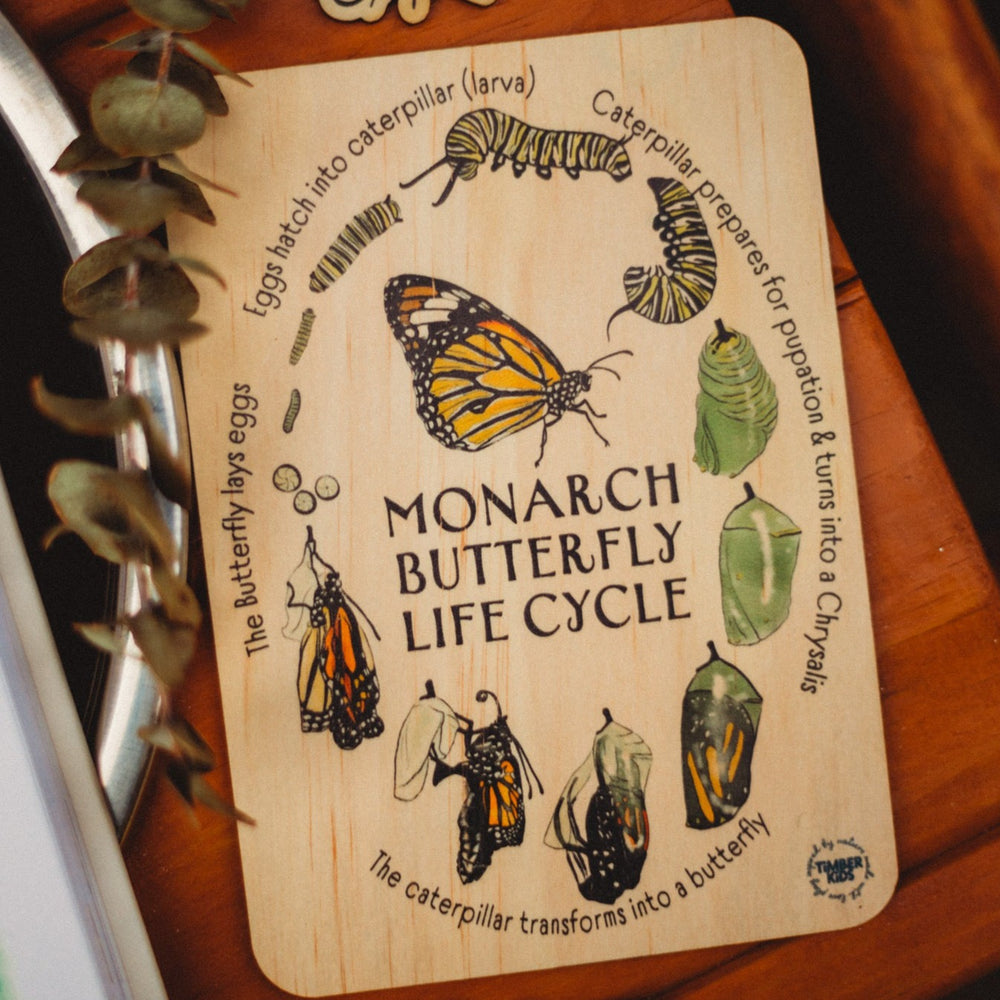 Monarch Butterfly Life Cycle Tile - | Timber Kids - Timber Kids 