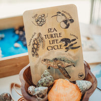 Sea Turtle Life Cycle Tile - | Timber Kids - Timber Kids 