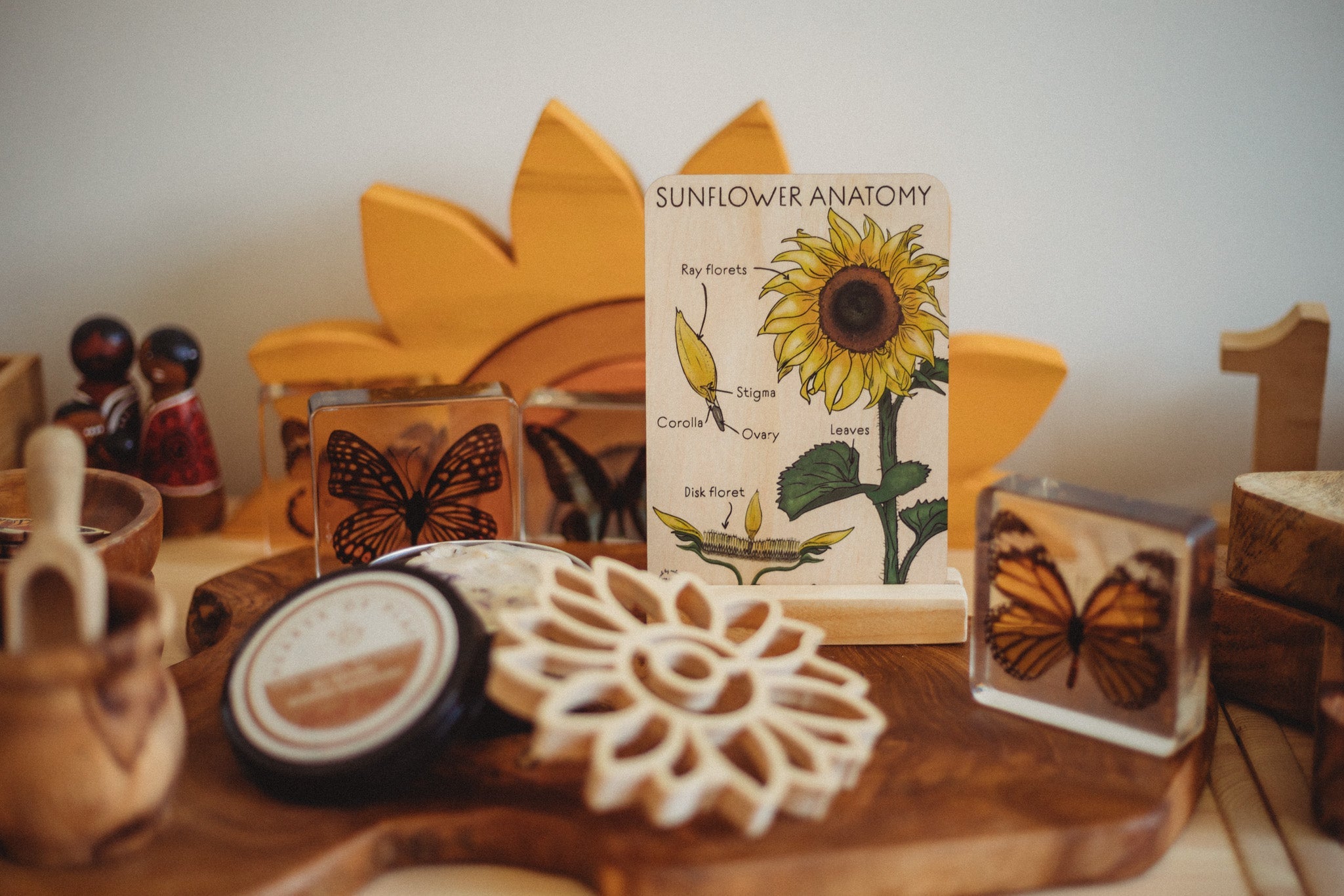 LARGE Sunflower Anatomy Tile - | Timber Kids - Timber Kids 